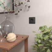  Ovalis - Plaque de finition - 