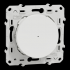  Wiser Odace - bouton poussoir 
