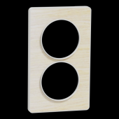  Odace Touch - plaque 2 postes 