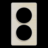  Odace Touch - plaque 2 postes 