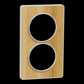  Odace Touch - plaque 2 postes 