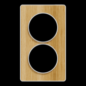  Odace Touch - plaque 2 postes 