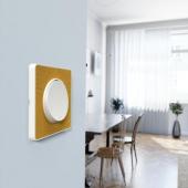  Odace - poussoir lumineux - bl 