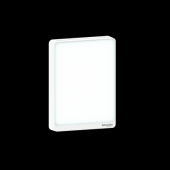  BMS - sonde analogique optimum 