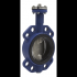  Vanne papillon acier PN16 DN15 