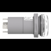  Harmony XB5 - Voyant de prsen 