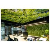  GLENOS, suspension profile, 1 