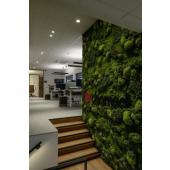  GLENOS, suspension profil�e, 1 