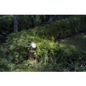  NAUTILUS 10 SPOT,projecteur ex 