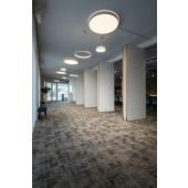  ONE 60, suspension LED, int�ri 