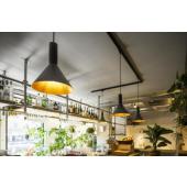  PHELIA 25, suspension int�rieu 