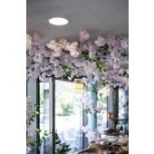  SENSER 24, encastr� downlight 