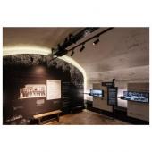  NUMINOSr M, spot rail 3 alluma 