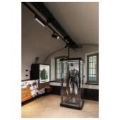  NUMINOSr M, spot rail 3 alluma 