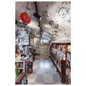  NUMINOSr L, spot rail 3 alluma 