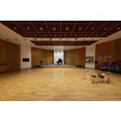  NUMINOSr L, plafonnier LED, in 