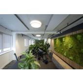  NUMINOSr M, spot rail 3 all., 