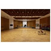  NUMINOSr L, spot rail 3 alluma 