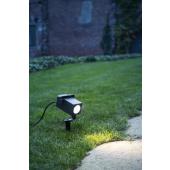  THEO BRACKET, spot sur piquet 