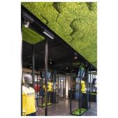  SIGHT MOVE, spot rail 3 alluma 