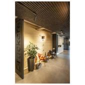  SIGHT MOVE, spot rail 3 alluma 