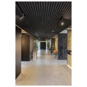  SIGHT MOVE, spot rail 3 alluma 