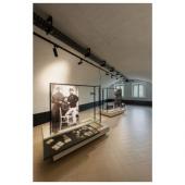  SIGHT MOVE, spot rail 3 alluma 