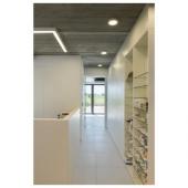  GRAZIA PRO MAX FLEXSTRIP, band 