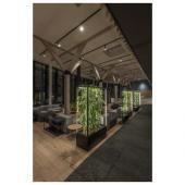  GRAZIA PRO FLEXSTRIP, bandeau 