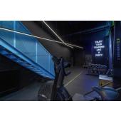  GRAZIA IP FLEXSTRIP, bandeau L 