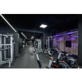  GRAZIA IP FLEXSTRIP, bandeau L 