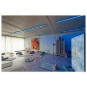  GRAZIA PRO FLEXSTRIP, bandeau 