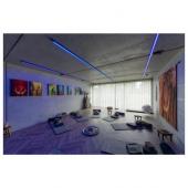  GRAZIA PRO FLEXSTRIP, bandeau 