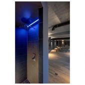  GRAZIA PRO FLEXSTRIP, bandeau 