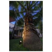  SAMRINA, spot sur piquet ext, 