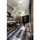  PARA DOME, suspension int�rieu 