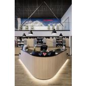  PARA DOME, suspension int�rieu 