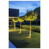  ROCCI 200, encastr de sol ext 