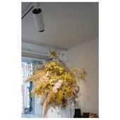  NUMINOSr ZOOM M, spot rail 3 a 