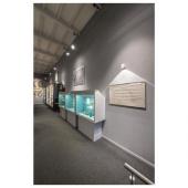  OCULUSWL PHASE, plafonniers in 