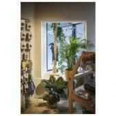  IN-LINE 44 48V TRACK, opale, D 