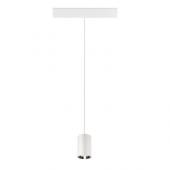  NUMINOSr XS 48V TRACK DALI, su 