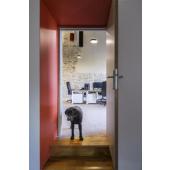  MEDOr PRO 30, applique et plaf 