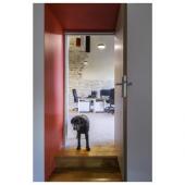  MEDOr PRO 40, applique et plaf 