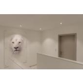  NEW TRIAr 75, collerette spot 