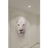  NEW TRIAr 75, collerette spot 