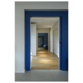  NEW TRIAr, module LED pour spo 