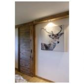  NEW TRIAr, module LED pour spo 