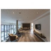  NEW TRIAr, module LED pour spo 