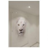  NEW TRIAr UNIVERSAL, module LE 